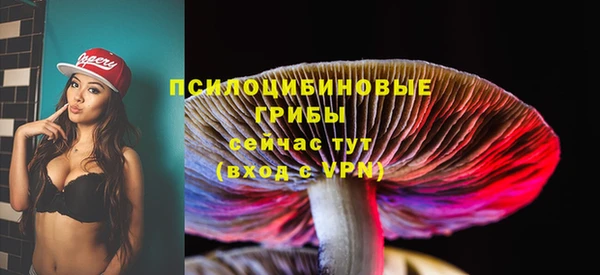 спиды Вязники