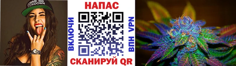 мориарти телеграм  Приволжский  Бошки Шишки SATIVA & INDICA 